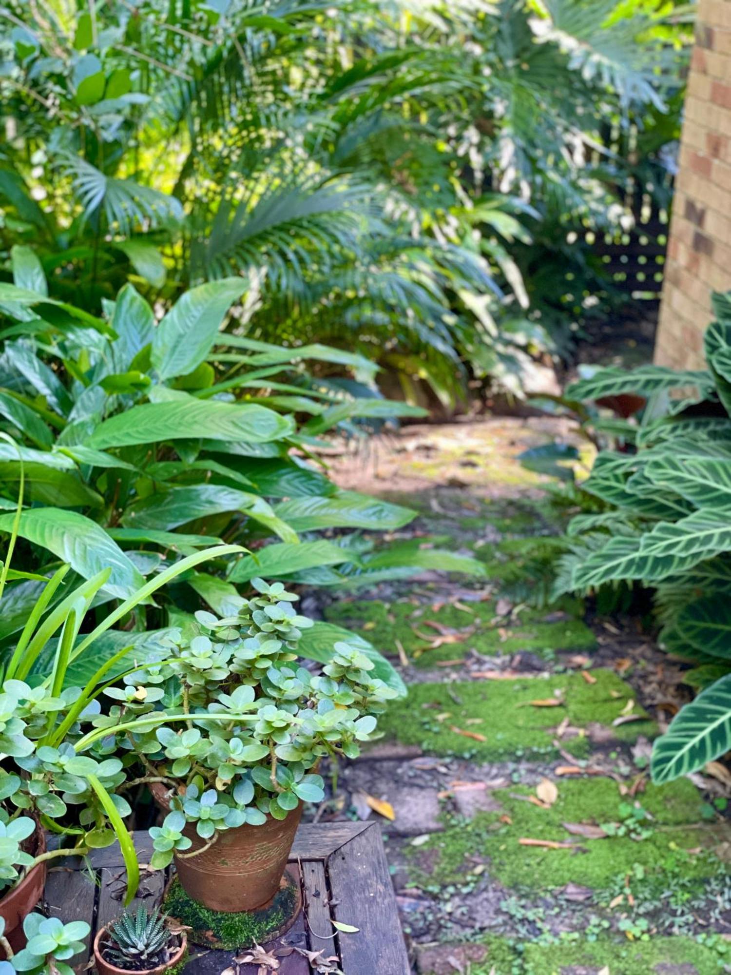 Lilli Pilli Guesthouse Byron Bay Luaran gambar