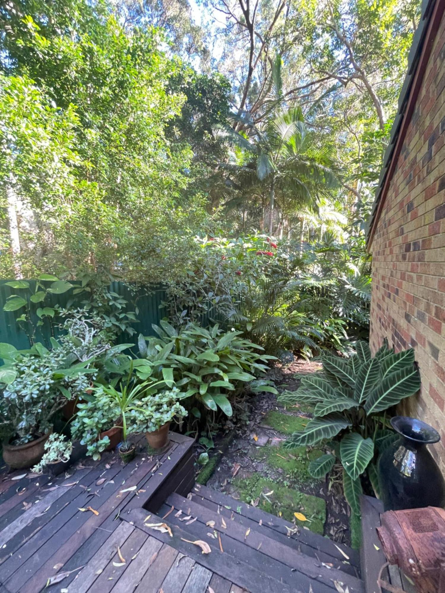 Lilli Pilli Guesthouse Byron Bay Luaran gambar